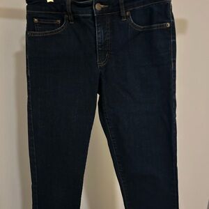 Classic Skinny Curvy Dark Denim Jeans
